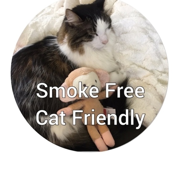 Cat Friendly & Smoke Free. My cats don’t have access to any of my Poshmark items - Picture 3 of 3